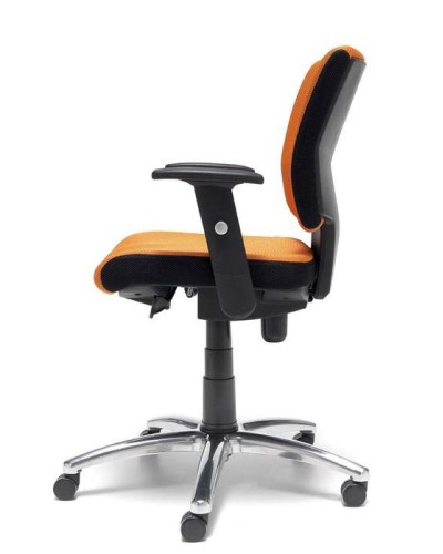 SALOMON
